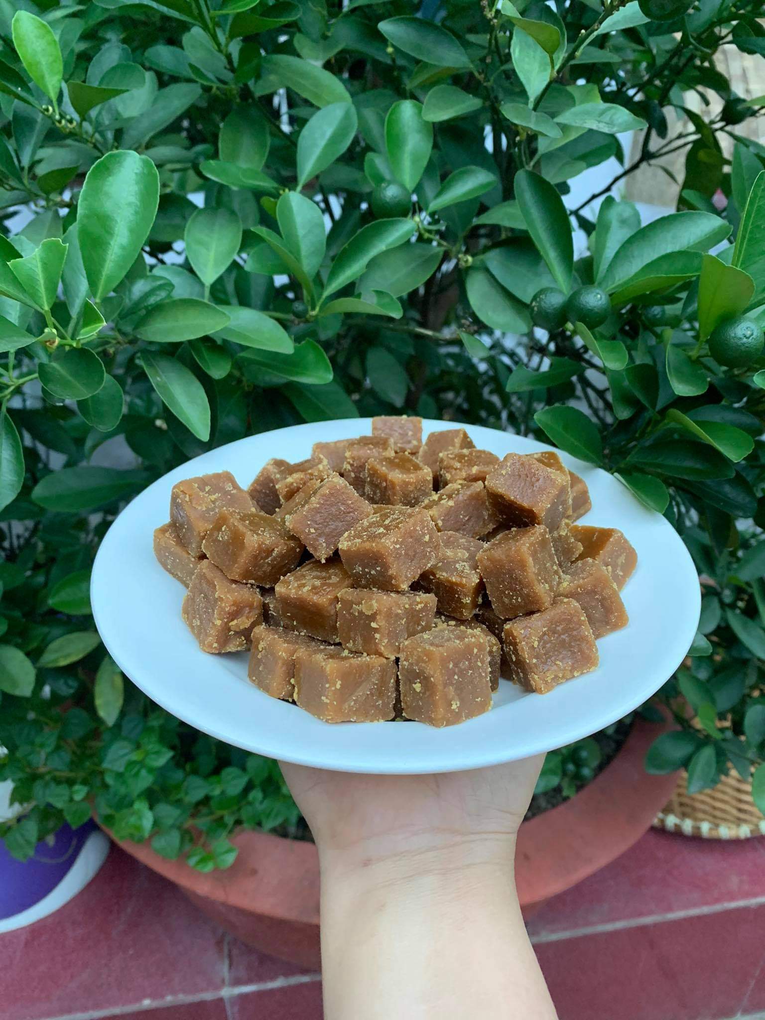 Product Info Image 2